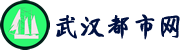 网站LOGO